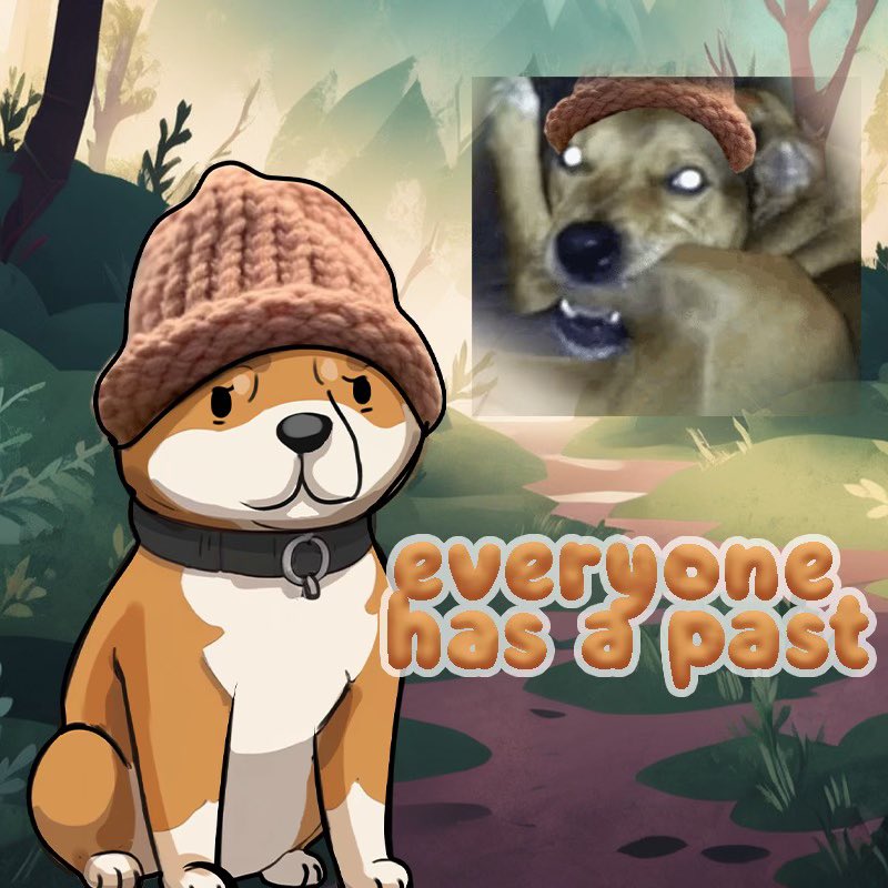 MemeZoo tweet media
