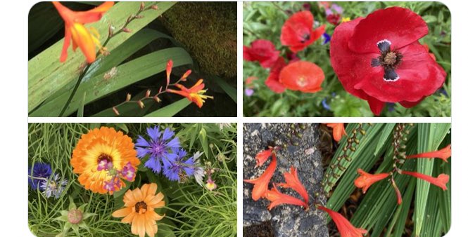 That Friday feeling… ☕️🥰💯 #WildAtlanticway #PhotosontheRun #GalwayFlowers @villagesalthill #Galway