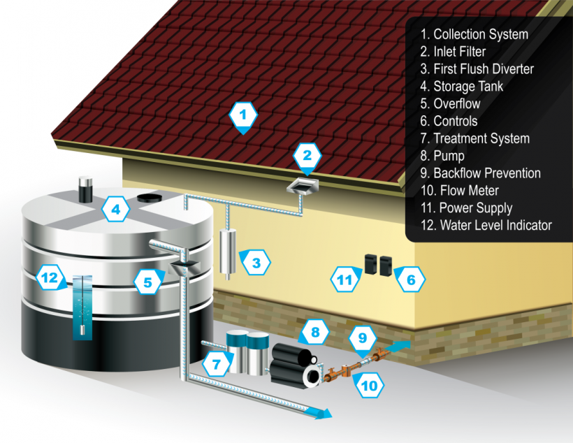 rainwatersystem's tweet photo. Collected #rainwater not potable, but great for watering the pollinator gardens and shrubs. #rainbarrel #gardenwatersaver #raingarden #basicgarden #twittergarden #verticalgarden #kitchengarden .
https://t.co/PFjWna2NaB https://t.co/x5713JQlV1