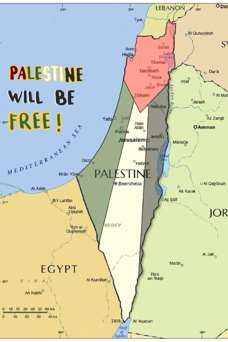 Retweet if you support Palestine.

We support Palestine.

PALESTINE WILL BE FREE 🇵🇸