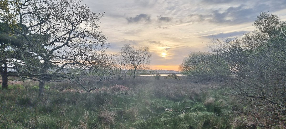 Good morning 🩵 #WildBrownsea