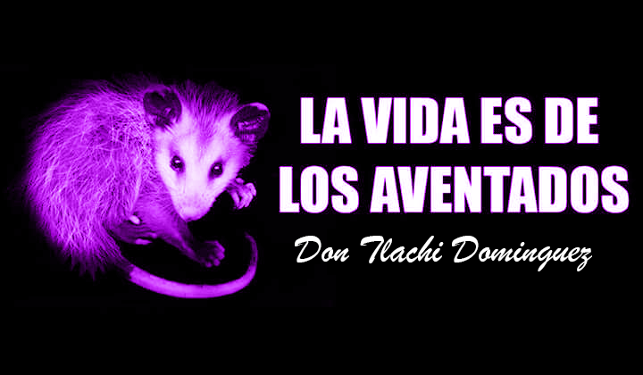 Tlachi_Games's tweet photo. Emprendan amigos 😎 https://t.co/zGc4wm5a6I