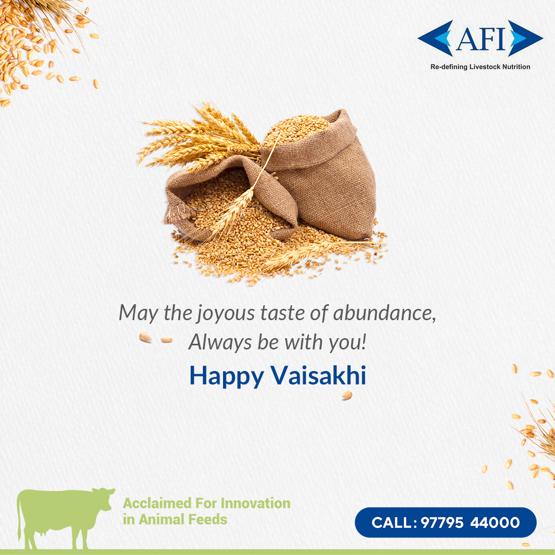 This Vaisakhi, AFI Agro wishes you abundance in health, happiness and fortunes. #Vaisakhi #Baisakhi #Sikhism #Punjabi #HarvestFestival #Bhangra #Celebration #Tradition #Community #Festival