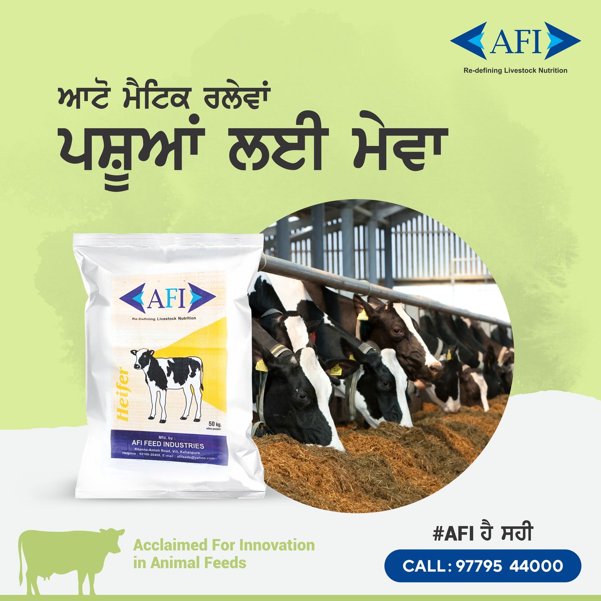 AFI, the feed that suits your own and your livestock's needs perfectly! For more details, Call: 09779544000 #TheFreshPeriod #Dairy #Feed #AnimalFeed #AnimalHealth #MilkProduction #AnimalNutrition #Farming #IndianDairyFarmer #DairyIndustry #DairyFarmer #DairyFarming #Milk