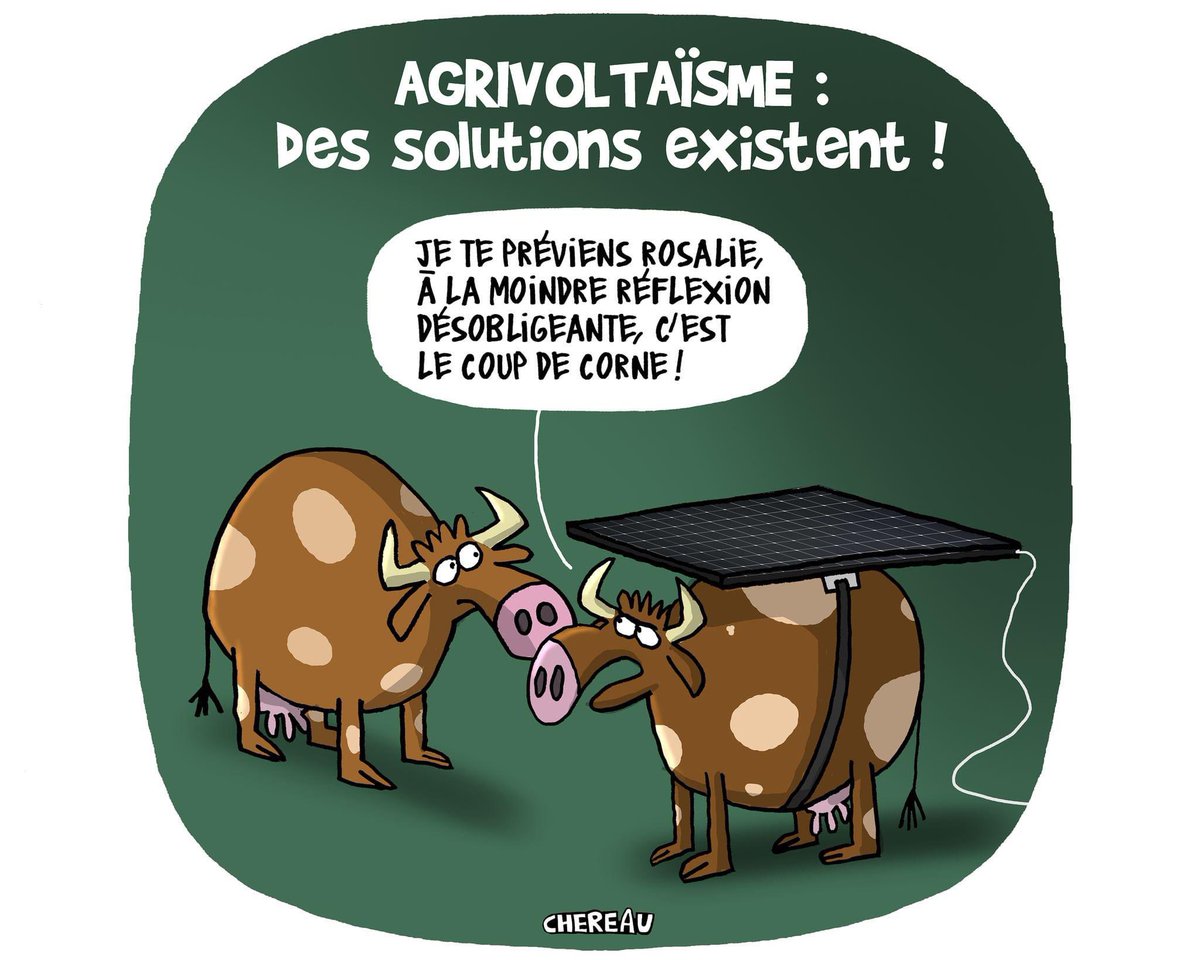 Soyons créatifs ! #agriculteurs #agrivoltaisme #solaire #elevage