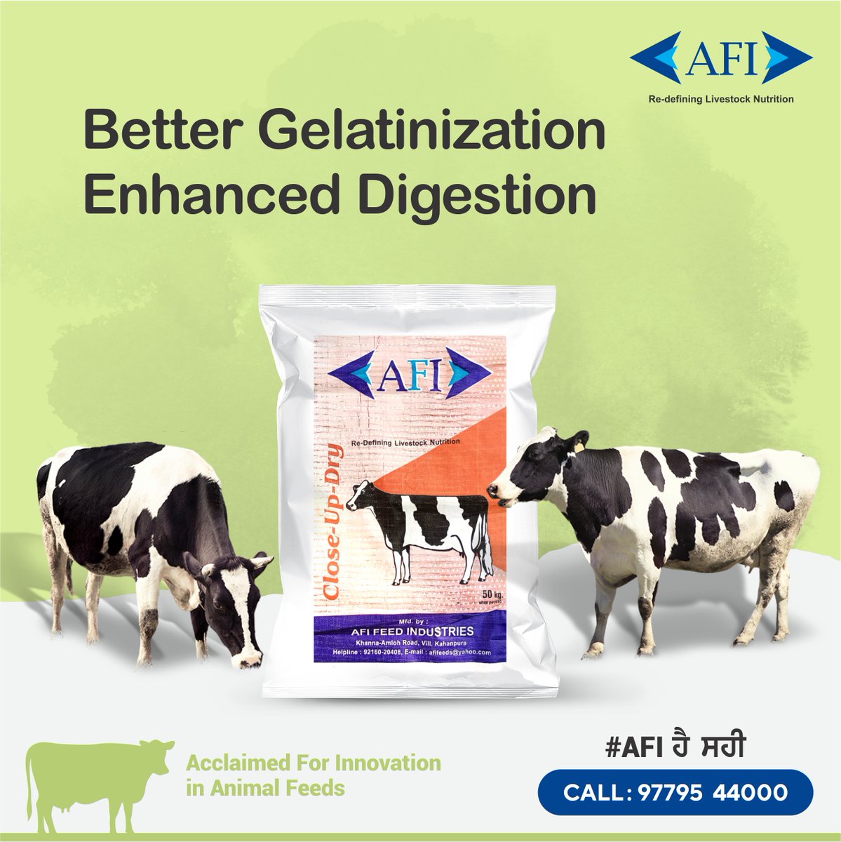 With branded AFI Feed, time & energy consumption for the prehension of the feed is decreased; enhancing digestion. This time & energy consumed in case of loose feed is high, resulting in less digestion. For more details, Call: 09779544000 #Dairy #Feed #CattleFeed #AnimalFeed