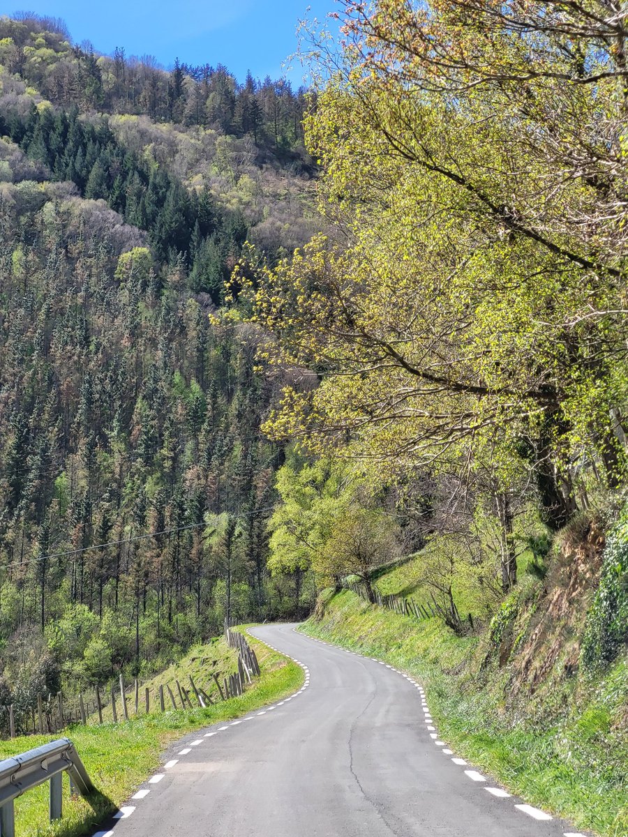 amantes_cycling's tweet photo. Azurki por Zestoa [Gipuzkoa]

-Longitud: 15 km
-Pendiente media: 4%
-Desnivel: 630 m

-Esencia de lo que representa un puerto en  Euskadi. Pendientes extremas, carretera estrecha y subida a escalones. 

-⚠️ 5 de sus kilómetros superan el 10% de media, con alguna rampa  del 18% https://t.co/DOXLsZtz6S