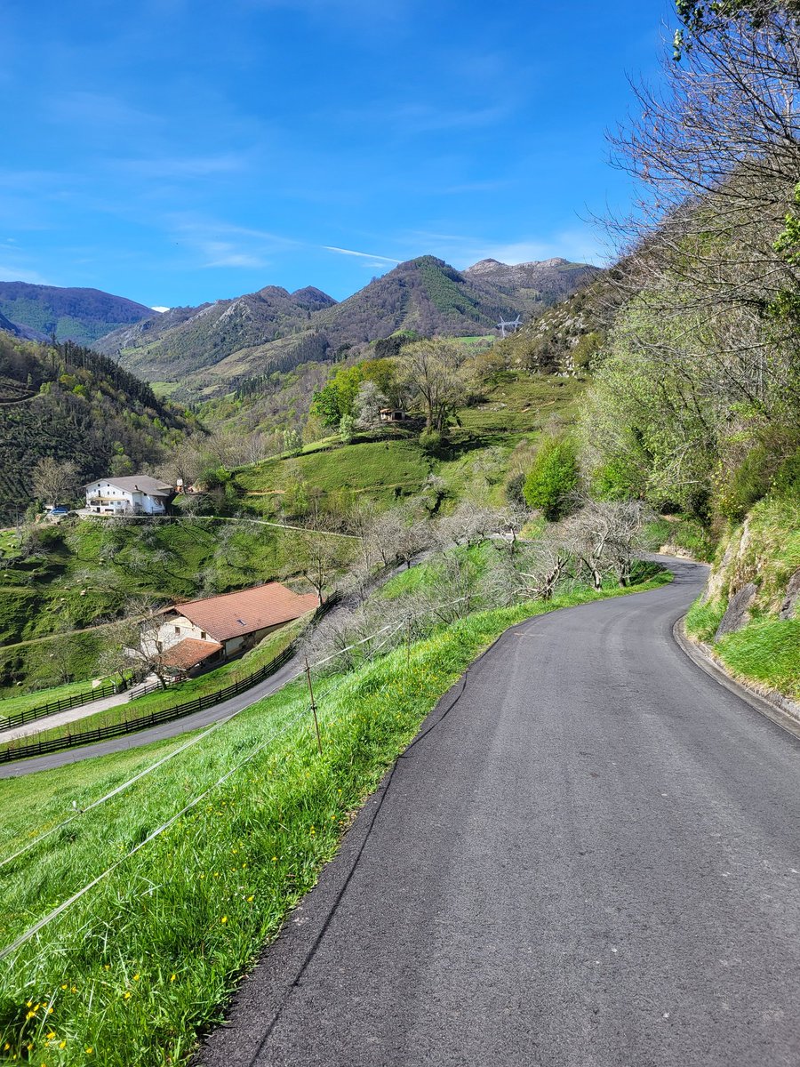 amantes_cycling's tweet photo. Azurki por Zestoa [Gipuzkoa]

-Longitud: 15 km
-Pendiente media: 4%
-Desnivel: 630 m

-Esencia de lo que representa un puerto en  Euskadi. Pendientes extremas, carretera estrecha y subida a escalones. 

-⚠️ 5 de sus kilómetros superan el 10% de media, con alguna rampa  del 18% https://t.co/DOXLsZtz6S