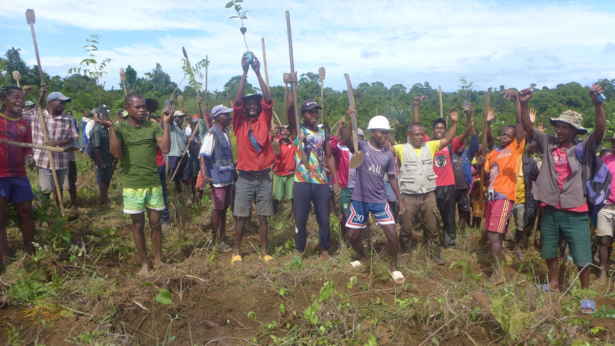 The long edge and small area of Ankarabolava-Agnakatrika PA in SE #Madagascar makes the forest vulnerable to many exterior threats. Hence 200ha exhausted land touching the PA being purchased and restored to native forest. The first trees planted at Easter. Tks World Land Trust