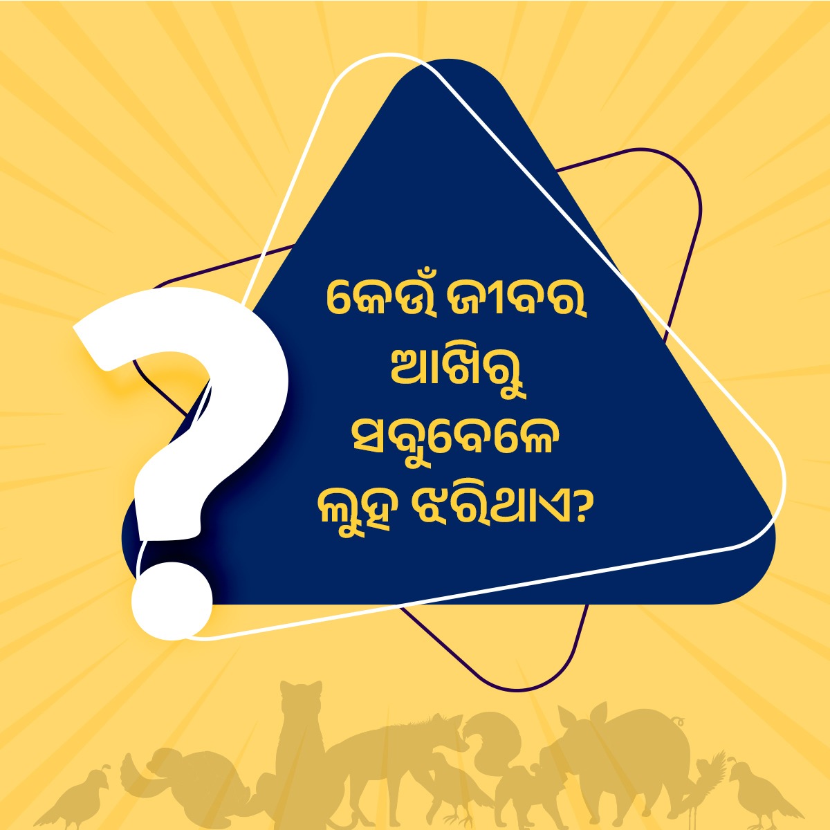 କେଉଁ ଜୀବର ଆଖିରୁ ସବୁବେଳେ ଲୁହ ଝରିଥାଏ? @PCDept_Odisha @SDGOdisha