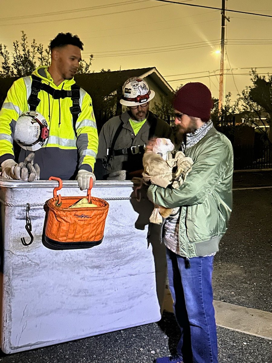 Happy to play a part in this rascal’s safe return to her humans. Keep your paws on the ground for a bit. Be safe, Fox Meowlder.