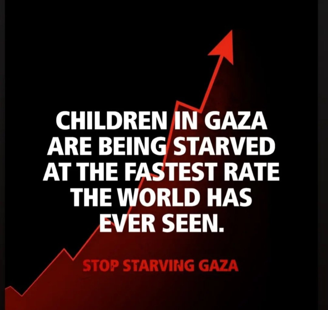 🇵🇸🇵🇸 tweet media