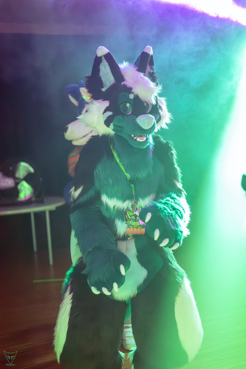 Fun Fact: I can't dance. 📸 @SkygeJager #FursuitFriday #Furvester5