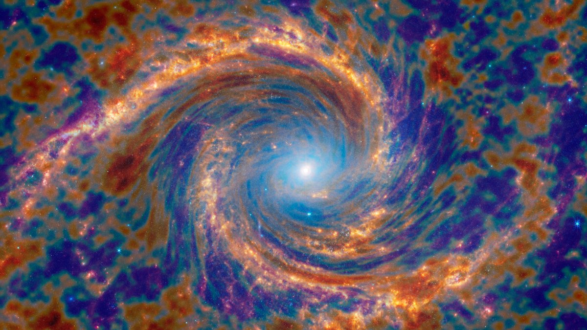 LeidenScience ENG (@leidenscienceen) on Twitter photo Do we understand the origin of the Universe? 🌌 In the Oort Lecture, Professor George Efstathiou will take you on a journey about the Lambda Cold Dark Matter model. Does he expect a paradigm shift in cosmology any time soon? Join us on May 6 at 20:00.
👉 medewerkers.universiteitleiden.nl/agenda/2024/05… Do we understand the origin of the Universe? 🌌 In the Oort Lecture, Professor George Efstathiou will take you on a journey about the Lambda Cold Dark Matter model. Does he expect a paradigm shift in cosmology any time soon? Join us on May 6 at 20:00.
👉 medewerkers.universiteitleiden.nl/agenda/2024/05…