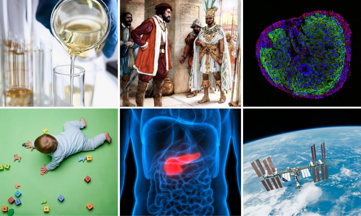 New ERC Advanced Grant winners will investigate the answers to many questions, including: How to get rid of harmful chemicals in our bodies? Can the protective layer around our heart help fix heart problems? Why do infants learn languages so fast? 👉 europa.eu/!vpfnGD