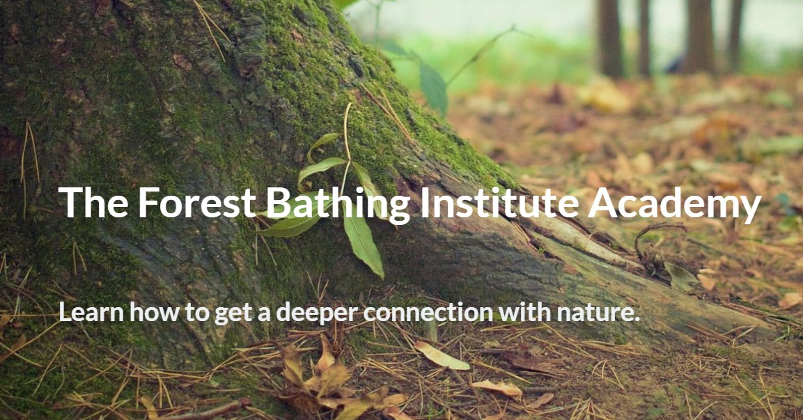 Check out @TFB_Institute Academy if you would like to deepen your #mindfulness practice, nature connection and learn some new techniques to help quieten the busy mind, de-stress and relax 💚 zurl.co/5Zmx #naturetherapy #wellbeing #meditation #nature #mentalhealth