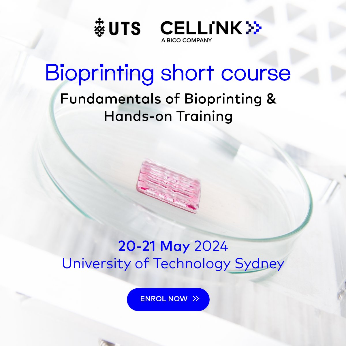 Get access to all the skills needed to become a bioprinting expert from @carmine_3Dheart at the University of Technology Sydney. This hands-on bioprinting course promises to give users a unique experience in getting up to speed with bioprinting bit.ly/49wgKWw