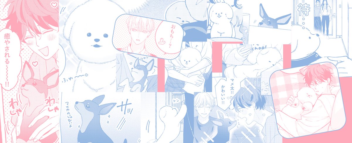 ⊹°✧🩵カバー全体デザイン🩵✧°⊹

🗓️𝟰/𝟮𝟰(水)発売
『特装版 ちぐはぐなキス』末広マチ(@suemachiii)

特装版は〘特製ホログラムカバー〙&〘描き下ろし漫画入り28p小冊子〙が付きます♡

📘特装版詳細
https://t.co/hIaDKUjeeH 