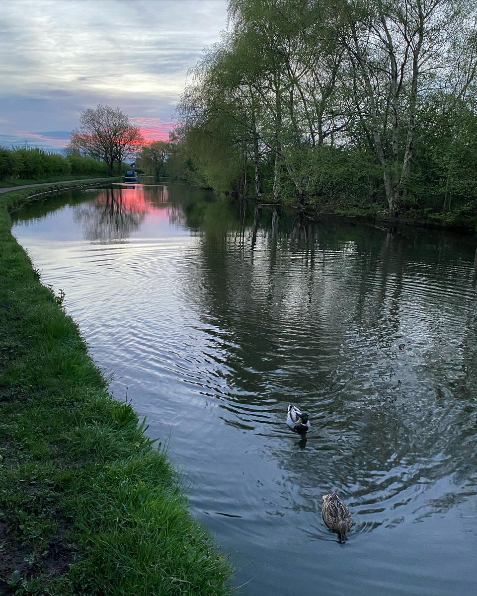 Early morning, no rain and pretty sunrise skies! What a lovely start to the day, and it’s Friday! #dailywalk #timeinnature #wellbeing #canal #sunrise #earlymorning