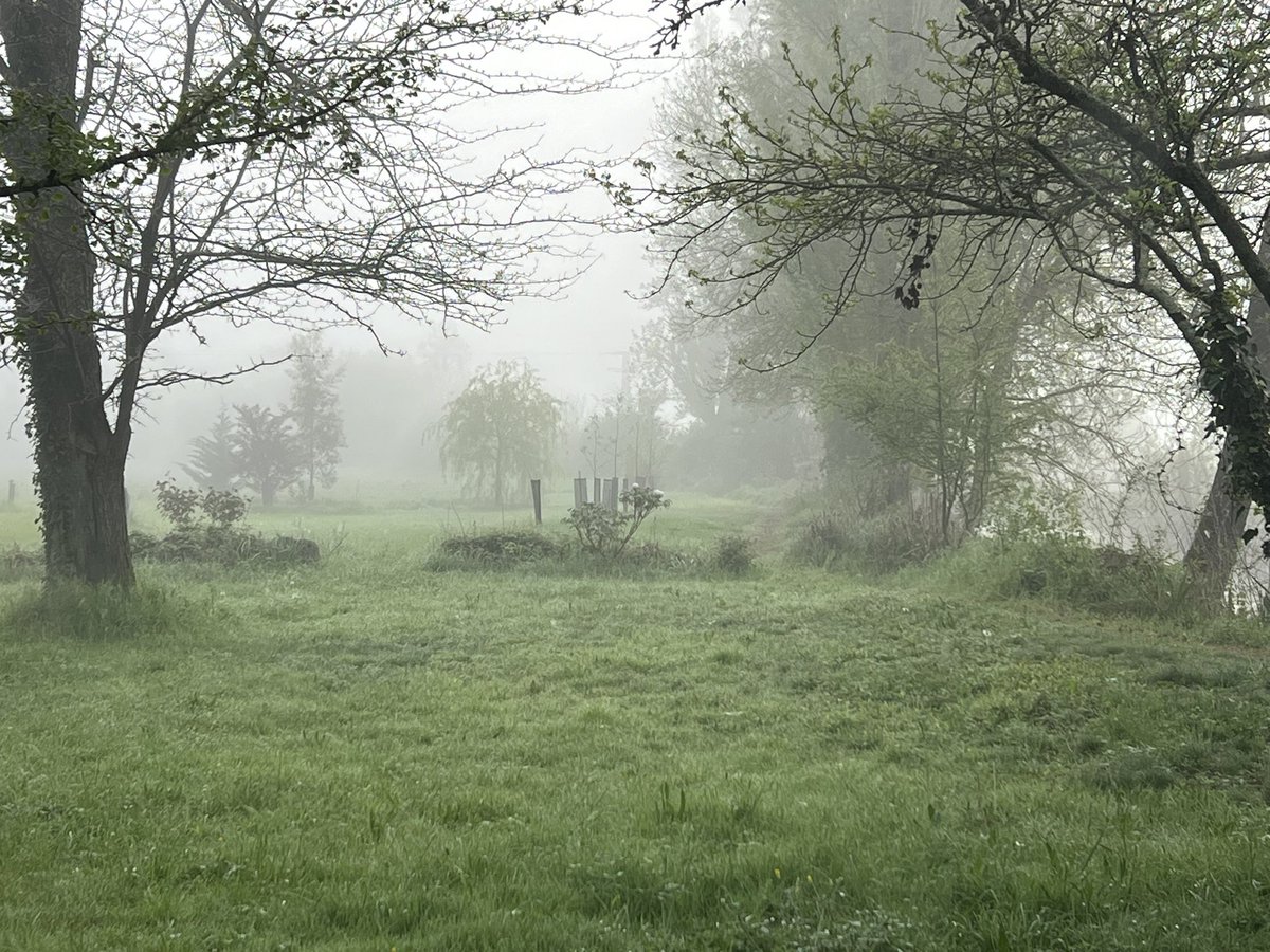 Moulin dans la brume