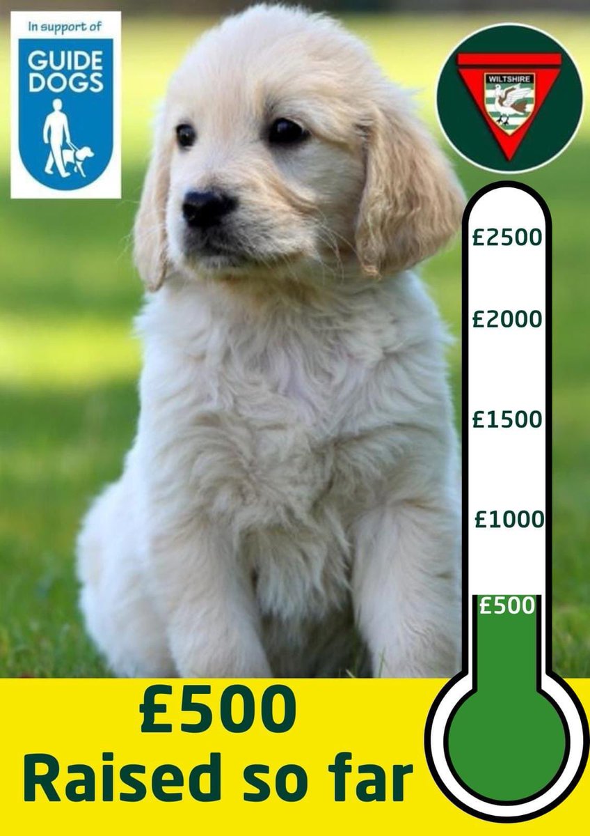 Juno company of to a fantastic start in their quest to raise money for a guide dog.