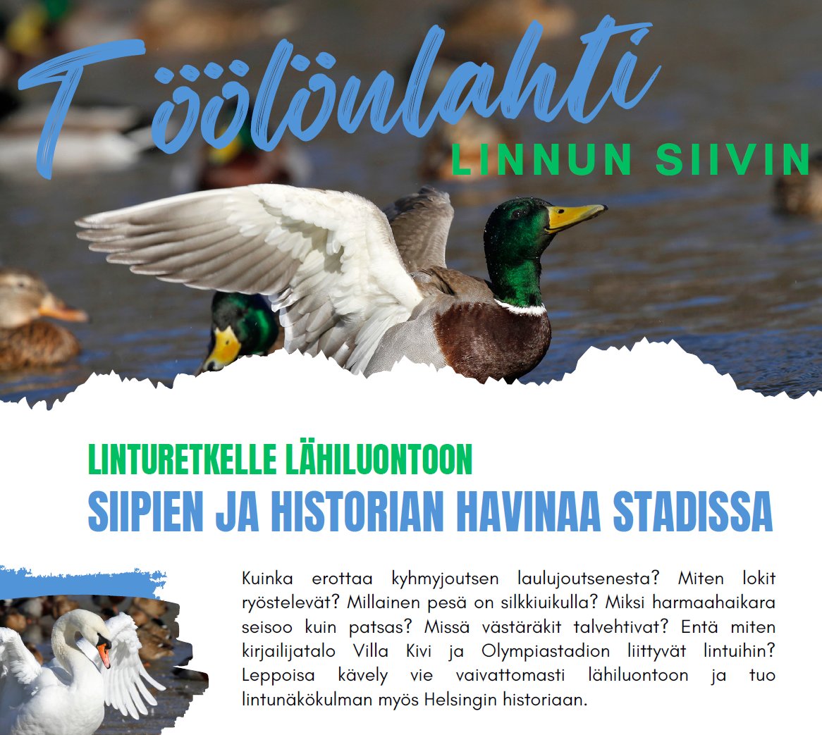 Tänään: Opastettu linturetki Töölönlahdelle

Vedän Helsingin kävelyfestivaalilla retken Töölönlahti linnun siivin. Helsingin historiaa lintunäkökulmasta samalla leppoisasti siivekkäitä havainnoiden.

Liput: nettilippu.fi/fi/event/toolo…

#MyHelsinki #Töölö #linnut #walkhelsinki #retki