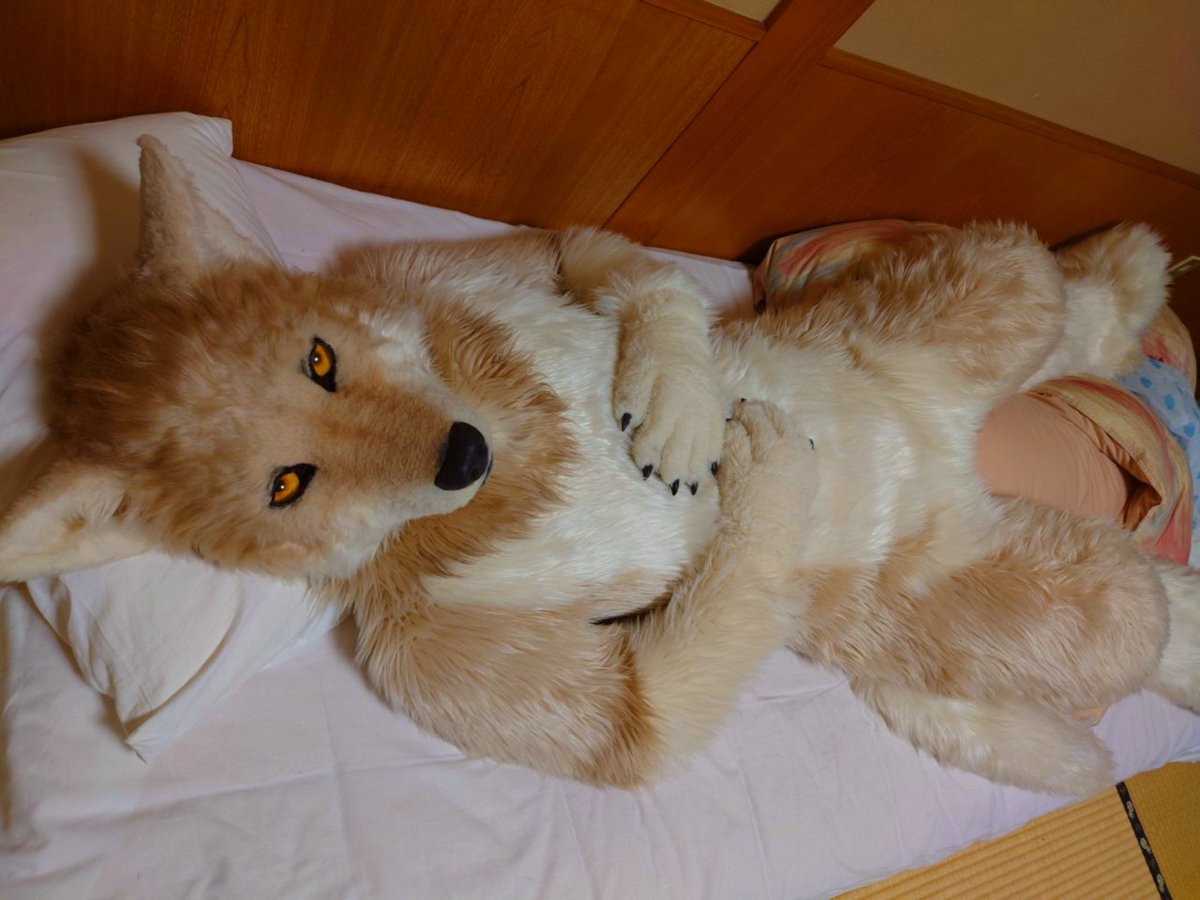 Please sleep with me💤 #FursuitsFriday