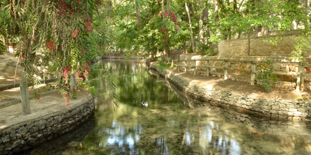 🌳El Parque Municipal San Vicente de Llíria es un auténtico oasis, ¡se respira paz y frescura a la sombra de los árboles! ¿Cuando vienes a visitarlo? #ActitudMediterránea #LExquisitMediterrani