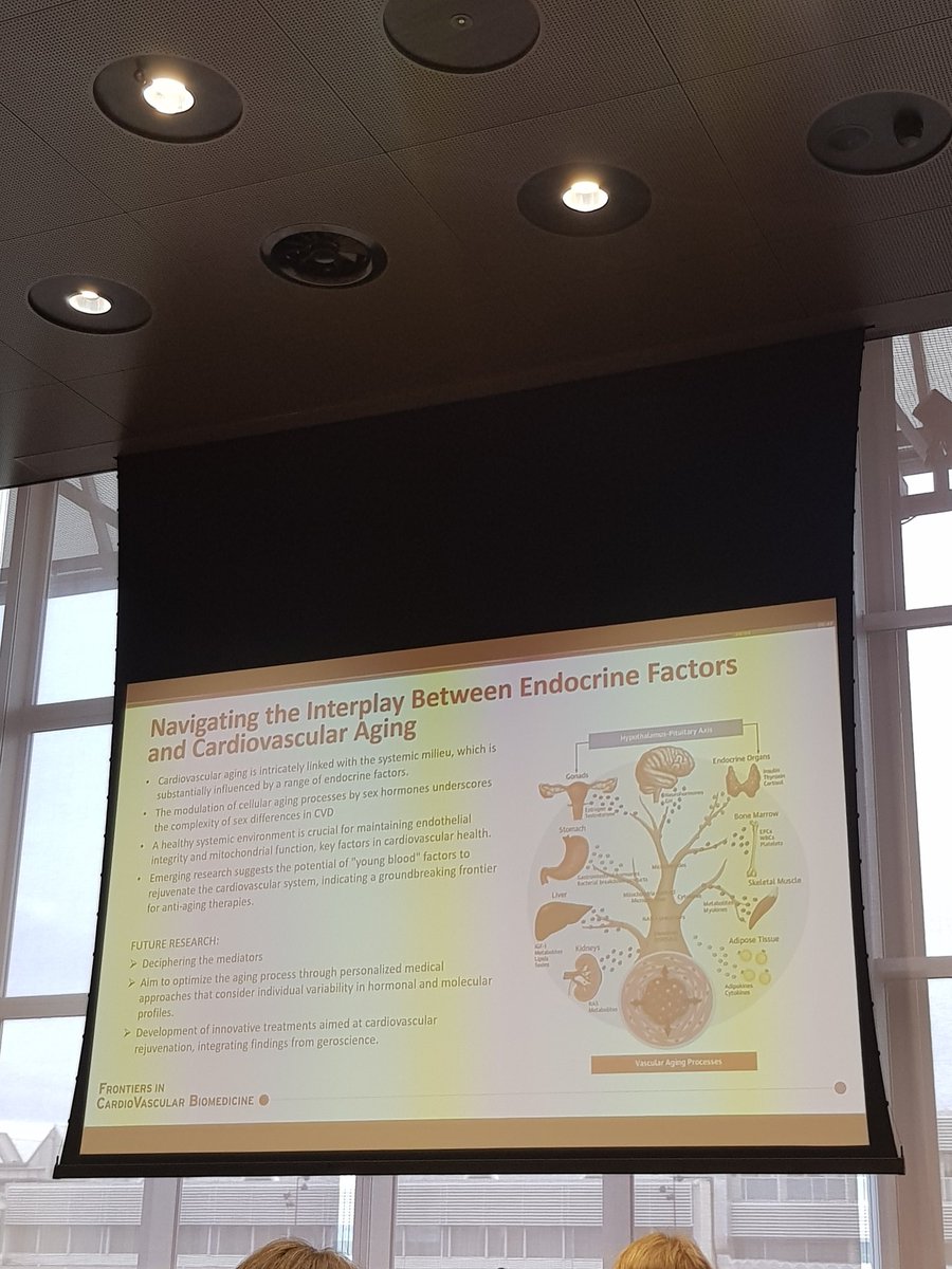 LIVE at #FCVB2024: Sex- and #age-dependent differences in #coronary #heart disease mechanisms, & working toward personalised management

@escardio @ESC_Journals
#SexDifferences #CHD #Aging #CardioX #CardiovascularResearch