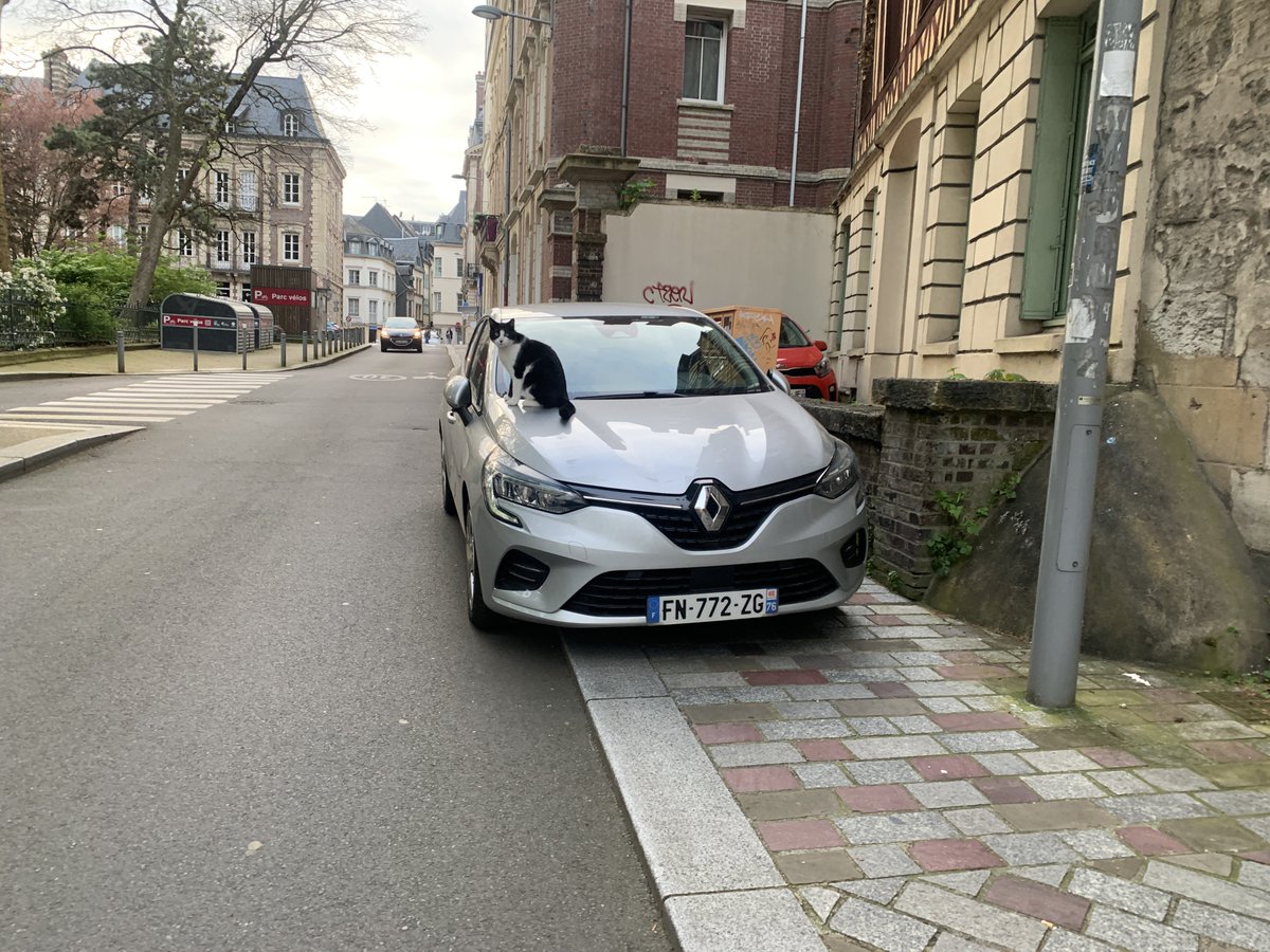 Et quand c’est un chat qui touche à la ouature, ils disent quoi les rageux ? 🤭 (Vidéo à suivre…)