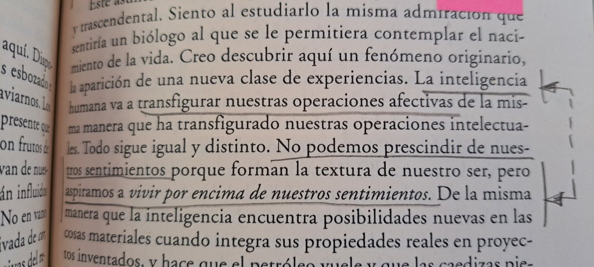 dr_jcpg's tweet photo. "A la gente le gusta sentir, sea lo que sea"
#Sentimientos 
#Emotionmatters
#EmotionalIntelligenceMatters
#Marina
#ElLaberintoSentimental
#CátedraIE 
@EDUEMOLab @unedpamplona @UNED @EducacionUNED https://t.co/MAgLex3Tf5