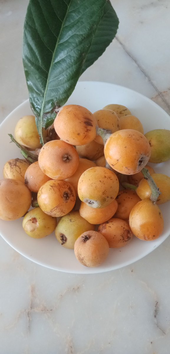 "Febieyyi alai rabbikuma tukezziban" 
Yeni dünya #hayırlıcumalar #HatayCity #İskenderunorg #hataypress 
#hatay #hataytube #iskenderun #kırıkhan #gastronomi #gastronomy #yeşildoğa #deprem