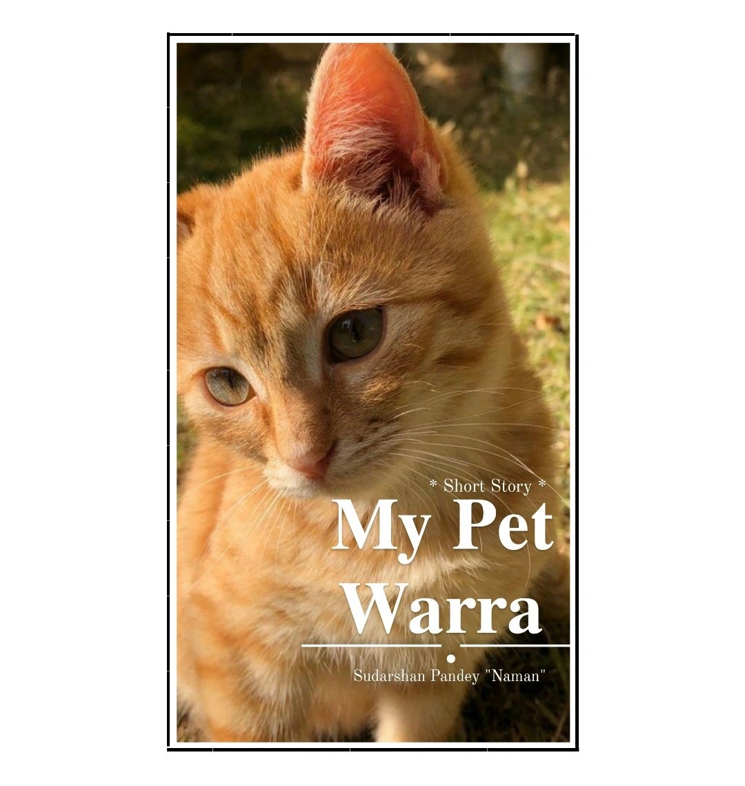Official cover of book
'My Pet Warra ' *Short Story*
Out now Publicly
Book will be release on June 12th 2024
Only on Googleplaybook and Googleplaystore
