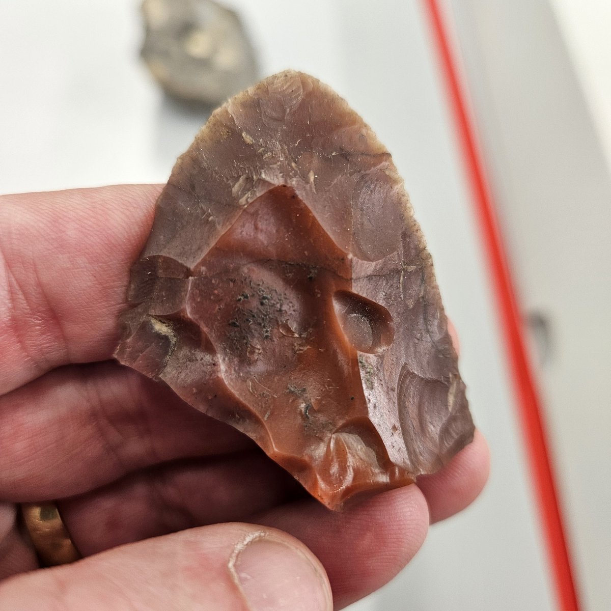 The tip of what would have been a very elegant and symmetrical Moustetian scraper. Made over 50,000 years ago in a stunning red jasper. Lost or discarded in the cave of La Cotte de St Brelade, where a hearth fire consumed and fractured the tool. #FindsFriday #IceAgeIsland