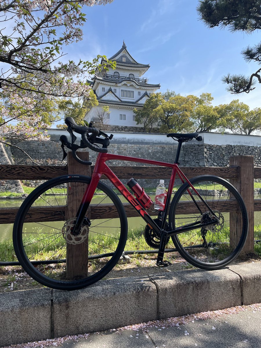 onthero35551908's tweet photo. 貧脚3→貧脚1へレベルアップ⤴️（自分調べ😁）を記念⁉️
クロスバイクを卒業してのロードバイクデビュー🚴まだまだ新人です。見かけても煽り運転は厳禁🚫で願います😊 https://t.co/H8DHTnq1P1