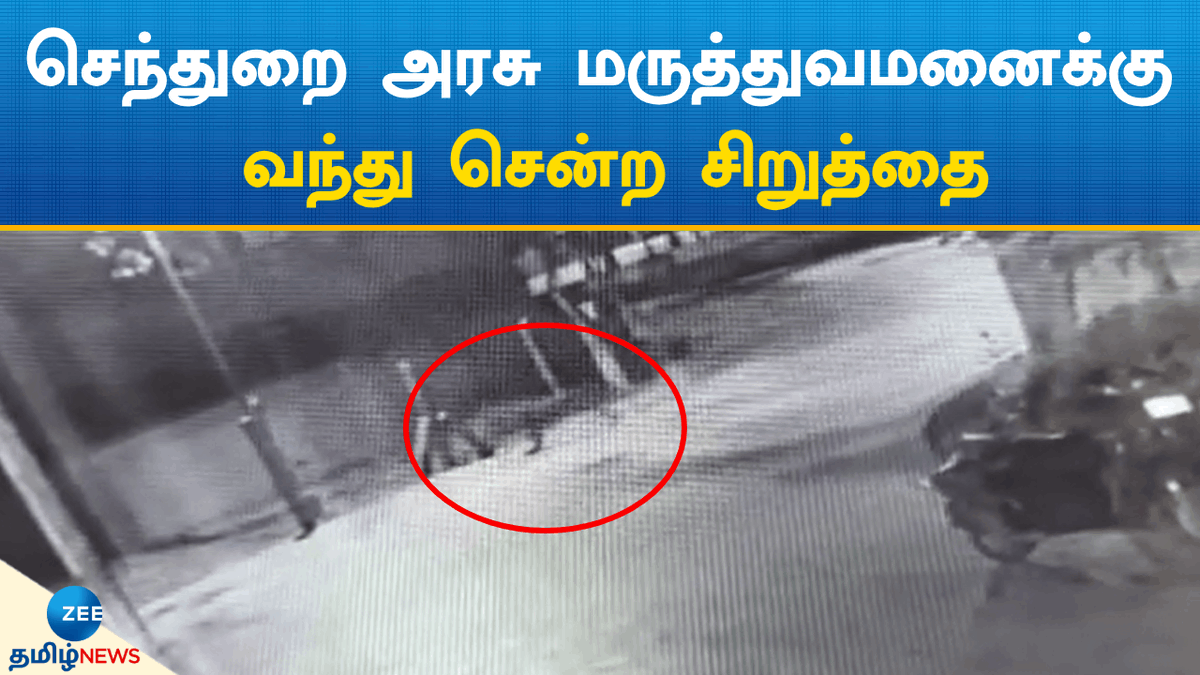 ZeeTamilNews's tweet photo. செந்துறை அரசு மருத்துவமனைக்கு வந்து சென்ற சிறுத்தை: வனத்துறை எச்சரிக்கை
#zeetamilnews #leopard #sendurai #Ariyalurdistrict #viralvideo #tamilnews
https://t.co/EReXpmvkrm https://t.co/GBb8wmnXFE