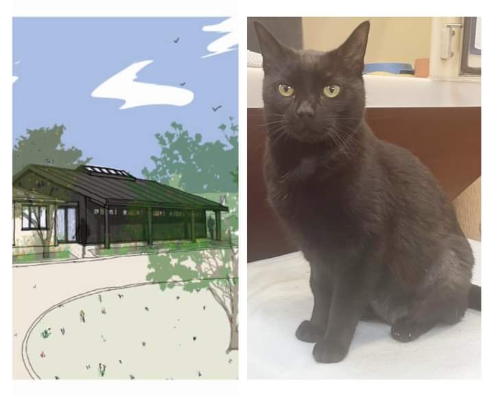 We have an opportunity for local businesses to sponsor one of the cat pods inside our brand new cattery. If you would like to help your local RSPCA Branch and create a lasting legacy as one of the founding supporters of the cattery please see more below: rspcasolentbranch.org.uk/cattery-sponso…