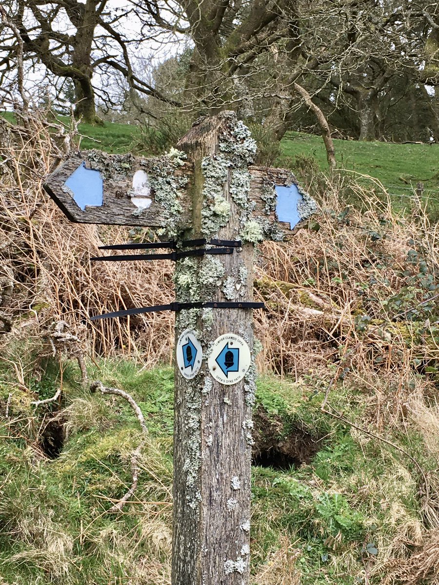 Lichen-encrusted signpost on the Offa’s Dyke Path near Knighton. #FingerpostFriday