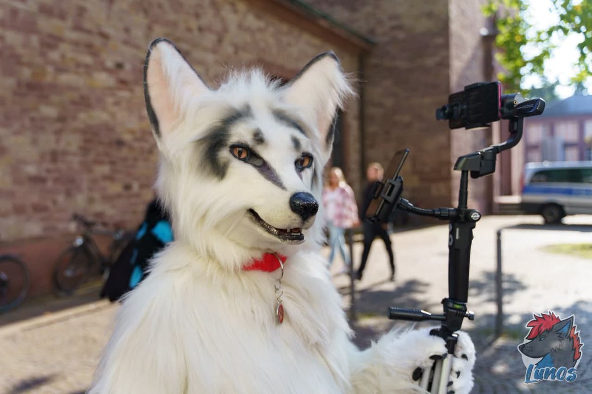 Happy #FursuitFriday in my <a href="/Kitavos_DE/">Kitavos 🇩🇪 🔜 BFD 🇩🇪</a> suit

✂️ <a href="/yurei_kitsune/">Yurei VF 2023</a>

📸 <a href="/LunosWolf/">Lunos</a>

🗓09.10.2021
🏰City
🏙 #Karlsruhe 🇩🇪

🦊#Karlsfurs #Suitwalk
🎩 <a href="/DASPRiD/">Ben Scholzen 'DASPRiD'</a>

#Furry #Fursuit #Fox #Fuchs #Marble #Berk #Furwalk #Parade #Kitavos

Follow my Berk-News (TG):
t.me/Berk_News