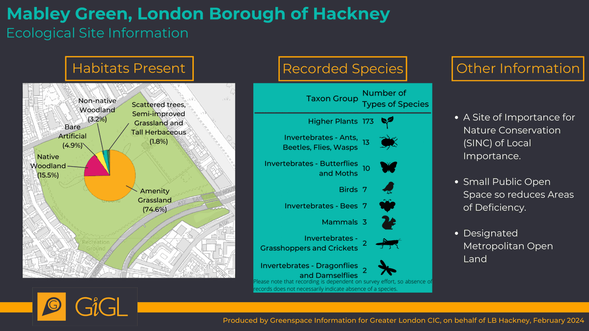 Mabley Green is the last Hackney Buzzline park which has had an eco makeover in recent years. 1 ha of long grass, hills, over 500 trees, and an edible garden now provide nature recovery habitats. 8 bee, butterfly and moth species have been recorded there. We're finding more.