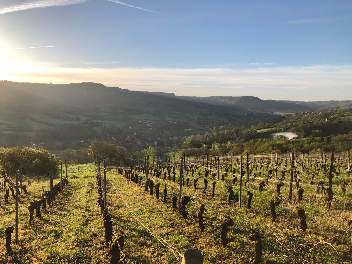 Ce matin, sur la route des vignes... Encore une plus belle journée qu'hier, on devrait monter jusqu'à 25° parait-il... Dernière photo avant un moment. #laroutedesvignes