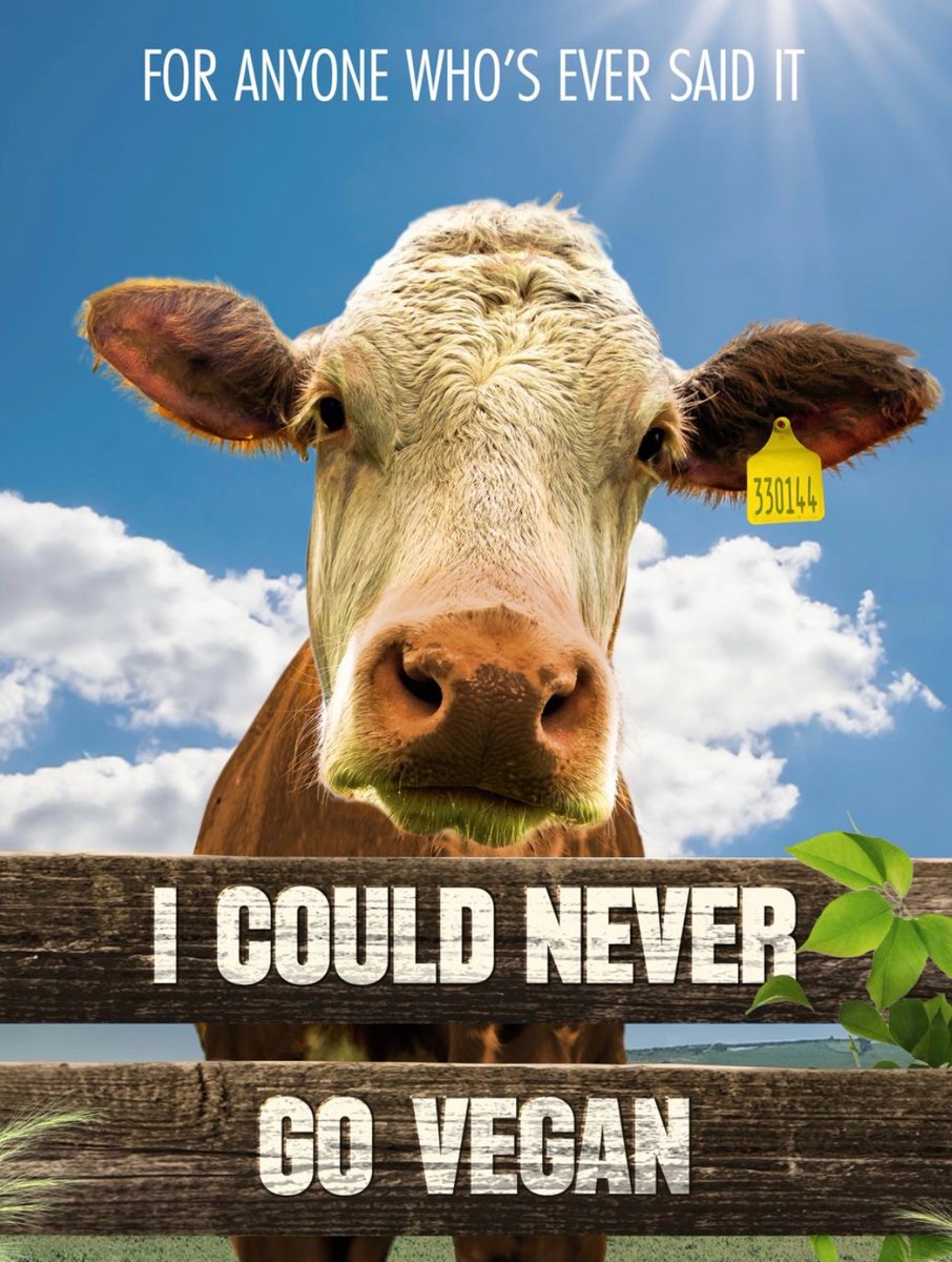 The Pickering brothers have absolutely knocked it out of the park with this compelling new documentary, covering all the arguments and reasons to go vegan, with a humble, evidence based and educational style that I’ve not seen before in a documentary of this calibre. Plus, it’s