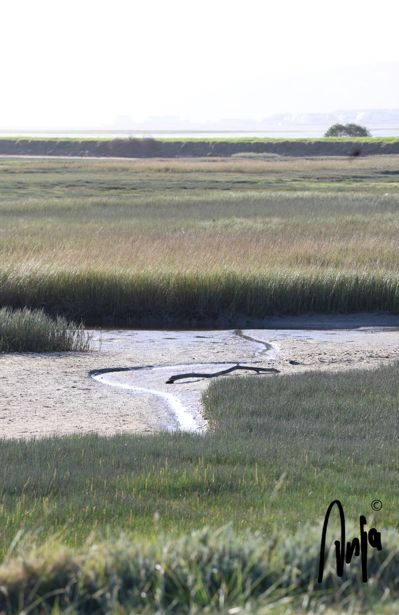 Knysna estuary
#photography #nature #outdoors #scenery #landscape #estuary #water #vegetation 
#Knysna #WesternCape #SouthAfrica