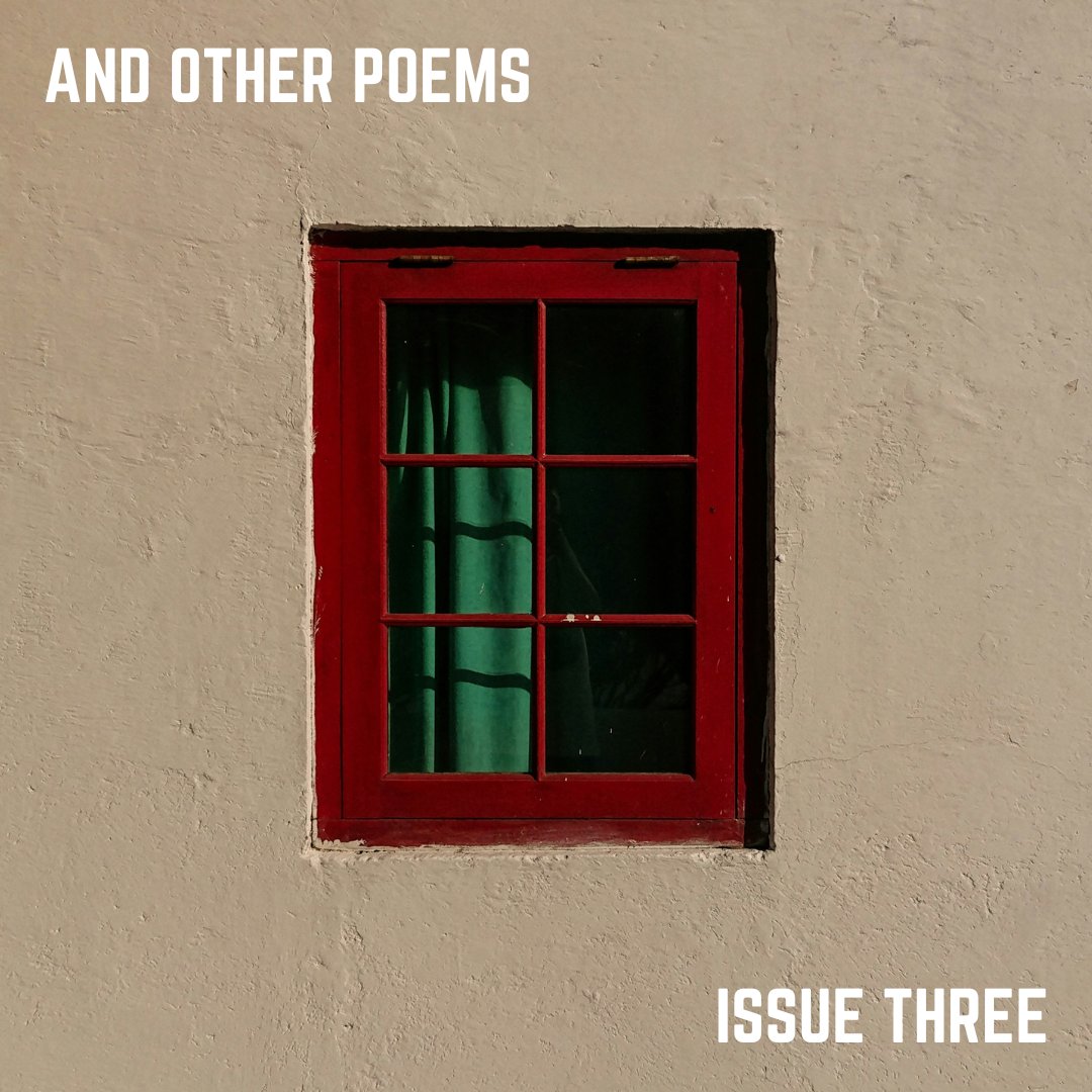 With new poems by @CorinnaBoard, @RachelLBurnsme, @TobyCampion, @jenlareine, @MarkGranier, @CleoHenry19, @aliakobuszko, @sarahlasoye, @clloyd9, @billie_poet, @maryfordneal, @orcahoe, @dsstudebaker, @adam_panichi, @ellora_sutton, & @nadiadvv. Out now: andotherpoems.com/issue-three/