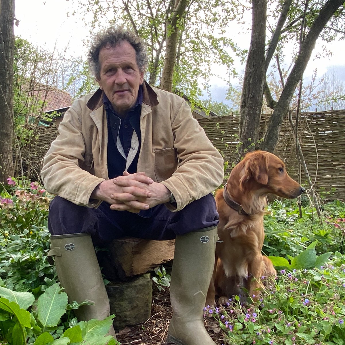 We're back at Longmeadow tonight with Monty and Ned for another hour of spring delights. Join us at 8pm on @BBCTwo if you can or afterwards on @BBCiPlayer 😎🌷🐾 #GardenersWorld #Gardening #FlowersOnFriday #Spring