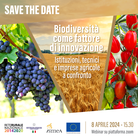 Biodiversità come fattore di innovazione - Istituzioni, tecnici e imprese agricole a confronto.

<a href="/SocialMasaf/">Ministero dell'Agricoltura</a> 
<a href="/IsmeaOfficial/">Ismea Official 🇮🇹</a> 
<a href="/CREARicerca/">CREARicerca</a> 
<a href="/eucapnetwork/">EU CAP Network</a> 

youtube.com/watch?v=hMFpjl…