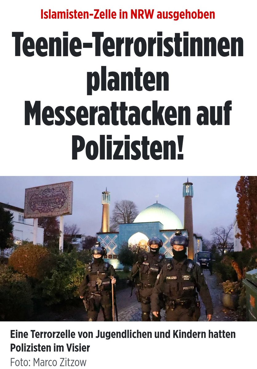 Deutsche Staatsbürgerschaft entziehen und abschieben! #Islamismus #Hagen 👇

m.bild.de/politik/inland…