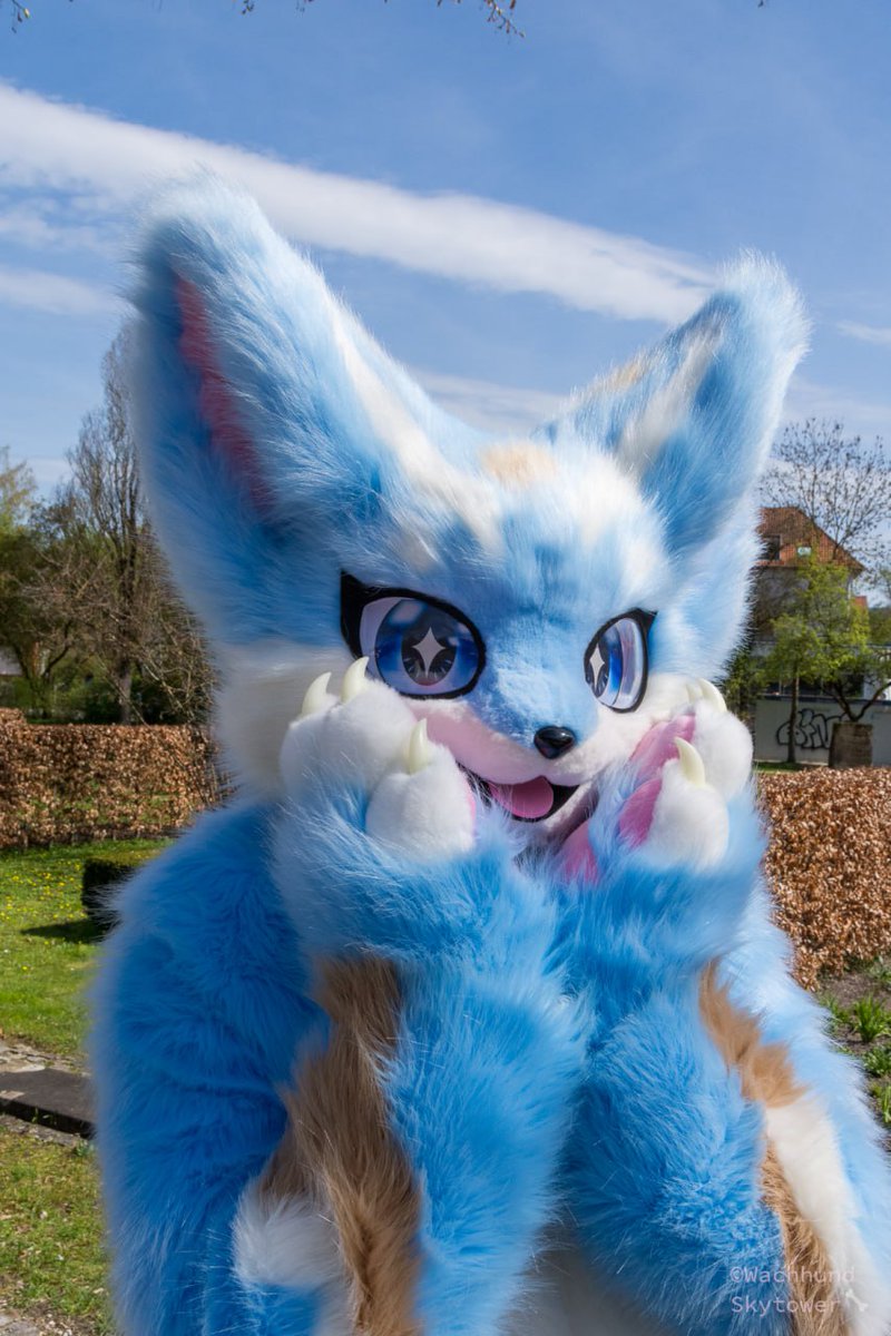 Today is a sunny day! Have an nice #FursuitFriday 📷 @WachWuffel