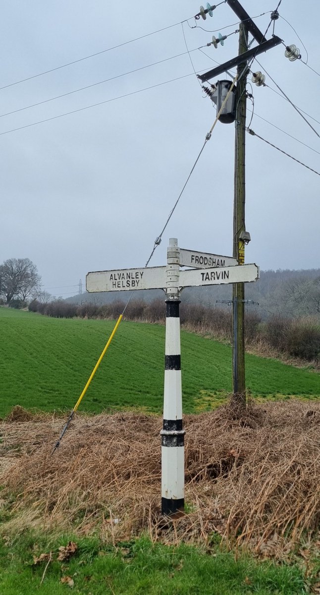 Hello #signpost lovers! A fingerpost on the #SandstoneTrail near #Alvanley today for #fingerpostfriday 
Have a great day whatever you are doing! 
#Cheshire #walking #rambling 🥾🥾