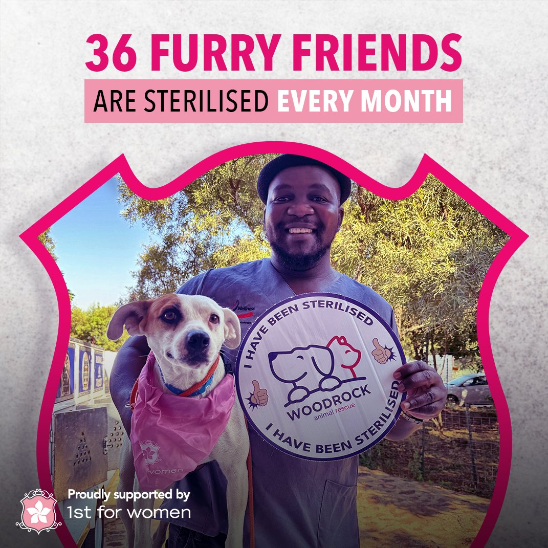 The @WoodrockAnimals Rescue Centre’s sterilisation drive is in full swing. And your #PetInsurance premiums are helping to make a lasting difference in the lives of our four-legged companions. 🐕 #Choose1stForWomen #ChooseFearless